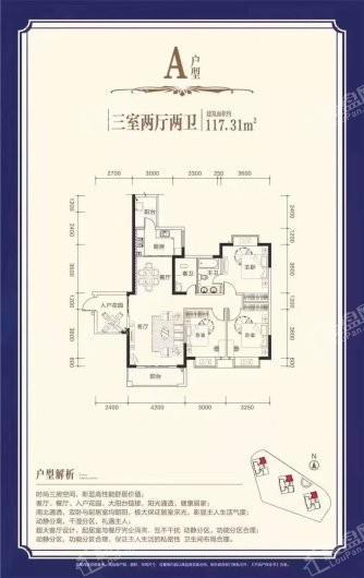 滨河苑户型图
